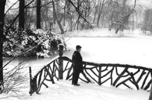 Vissen voeren in het Julianapark